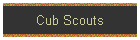 Cub Scouts